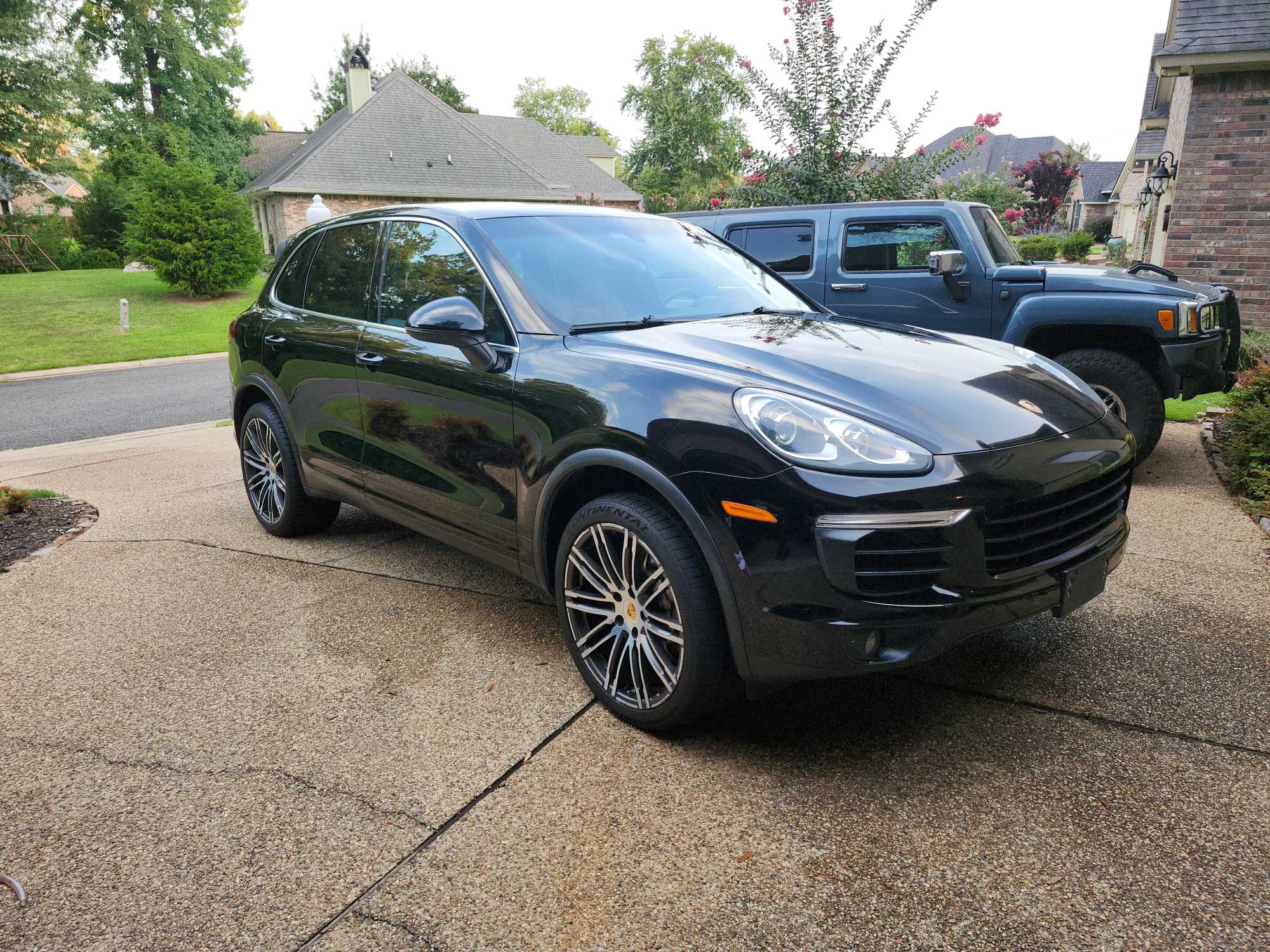 Cayenne at home.jpg