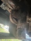 IMG_0368.jpeg
