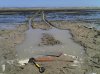 2012-09-08_14-16-06_535.jpg