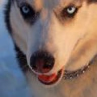 WolfenH3